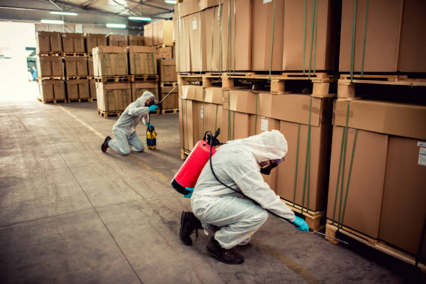 Best Pest Control for Homes  in Chicago Heights, IL