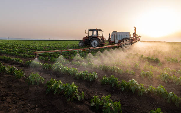 Best Mosquito Control Services  in Chicago Heights, IL