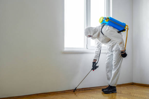 Best Pest Control Near Me in Chicago Heights, IL