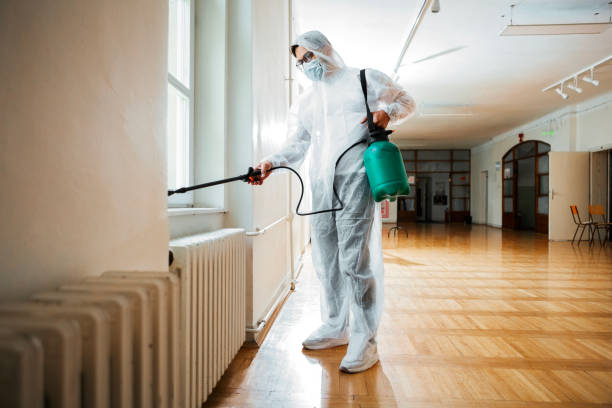 Professional Pest Control in Chicago Heights, IL