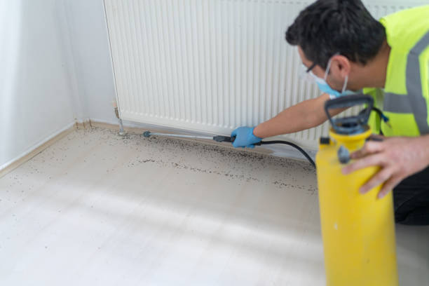  Chicago Heights, IL Pest Control Pros