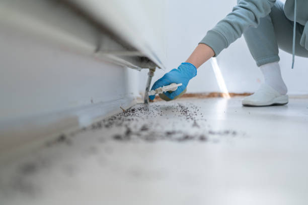 Best Best Pest Control Companies  in Chicago Heights, IL