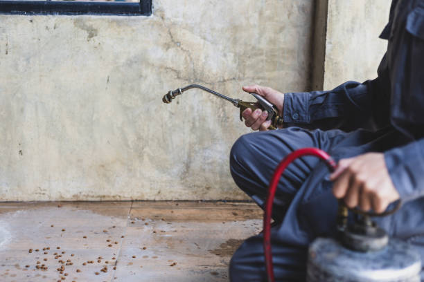 Best Affordable Pest Control Services  in Chicago Heights, IL